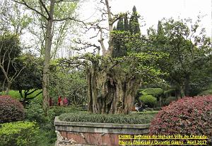 Chengdu avril 2017 - 060